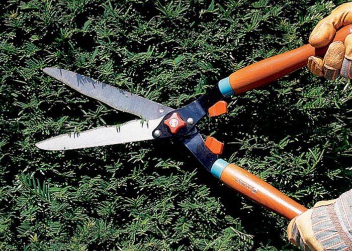 Garden Shears - Image 2