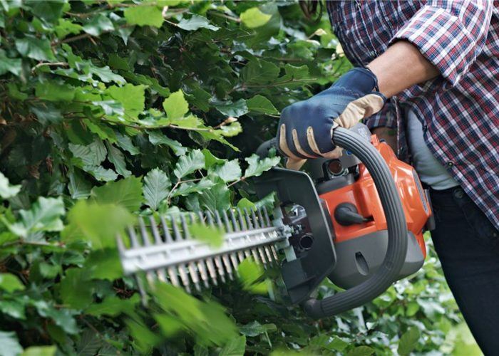 Hedge Trimmer