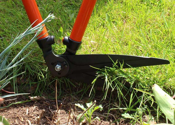 Lawn Edging Shears