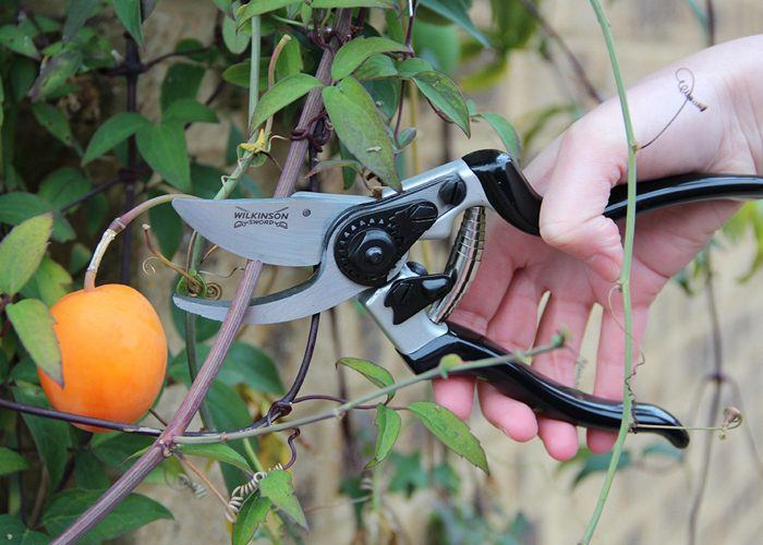Secateurs